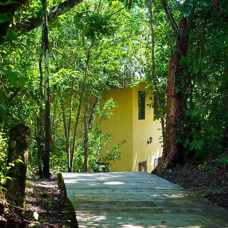 Amber Sunset Jungle Resort San Ignacio Exterior photo
