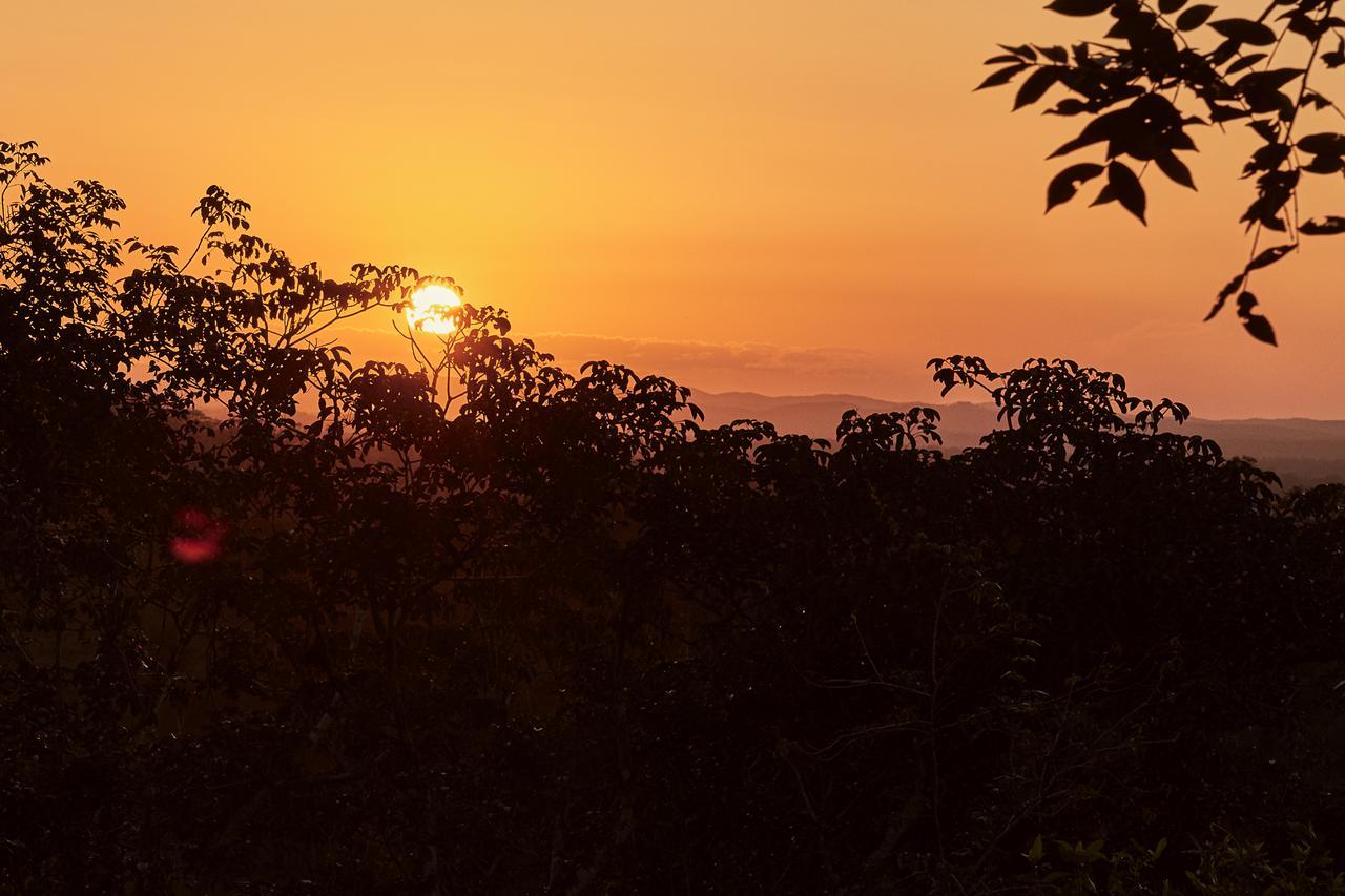 Amber Sunset Jungle Resort San Ignacio Exterior photo
